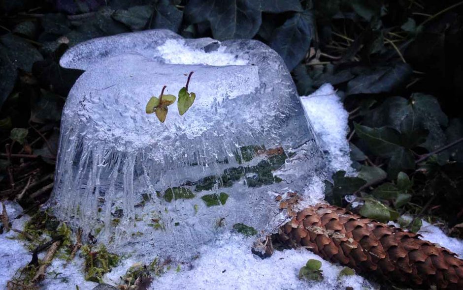 Winterblues ade, oder warum nächstes Jahr alles besser wird!