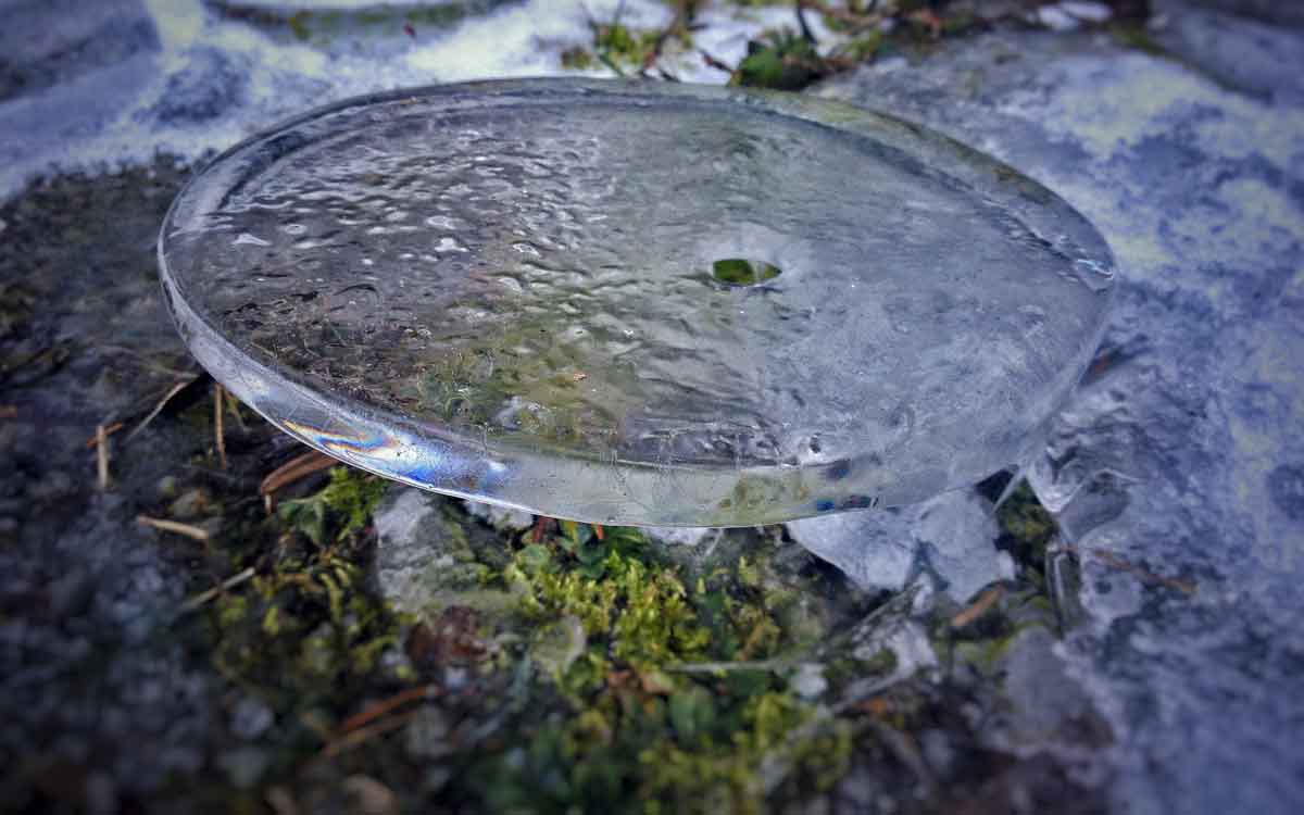 Eisskulpturen statt Gemüse